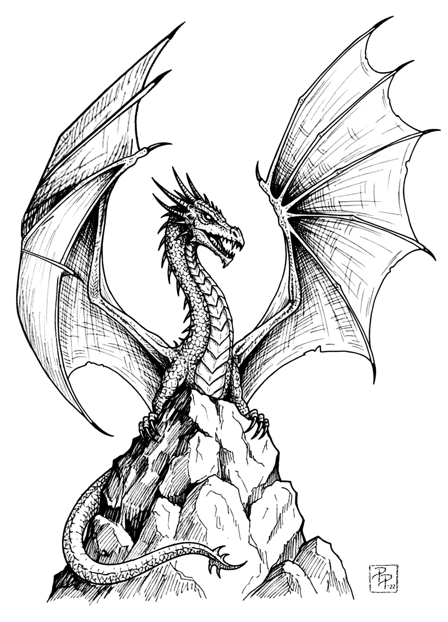 Dragon Rock, ink drawing